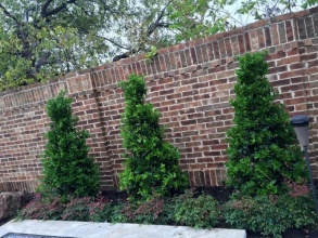 Кирпичный забор сплошной 12 метров фото в Шахунье